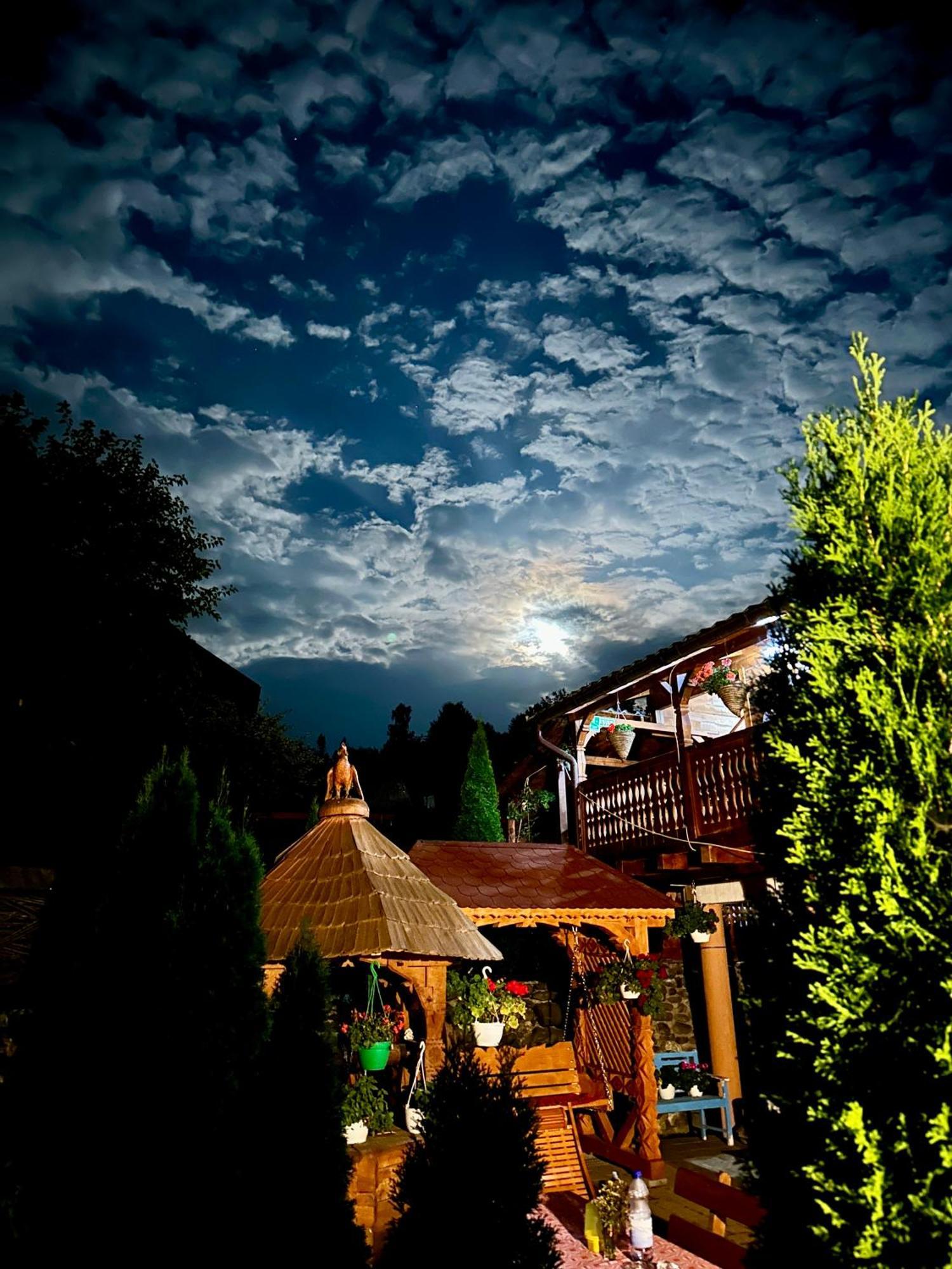 瓦杜伊泽 马拉穆列什弗洛里旅馆酒店 外观 照片