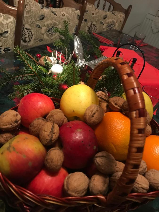 瓦杜伊泽 马拉穆列什弗洛里旅馆酒店 外观 照片