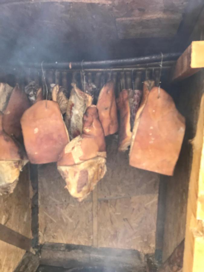 瓦杜伊泽 马拉穆列什弗洛里旅馆酒店 外观 照片